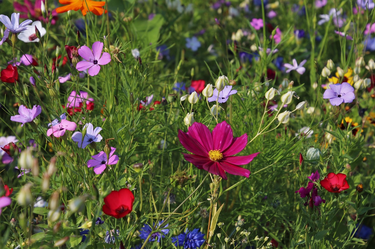 Simple Steps to a Perfect Flower Garden Painting